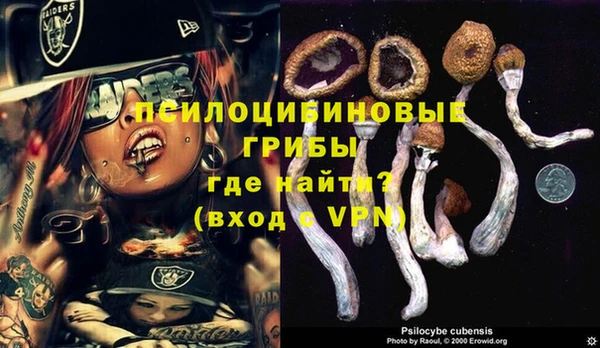mdpv Алзамай