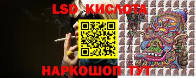 ешки Новодвинск