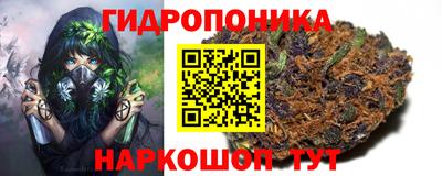 мдпв Новокубанск
