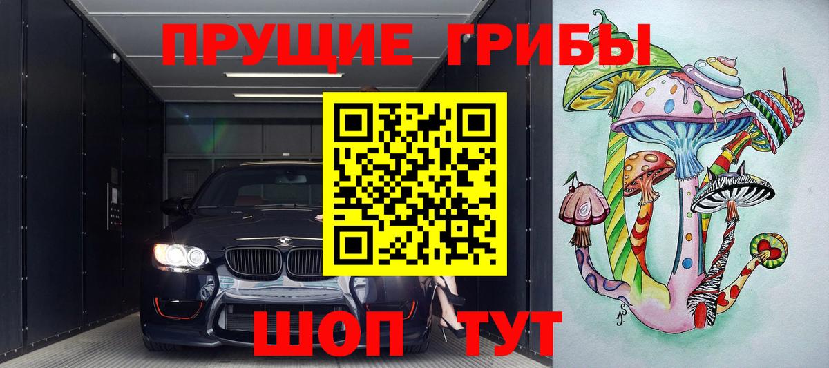 Галлюциногенные грибы Psilocybine cubensis Тверь