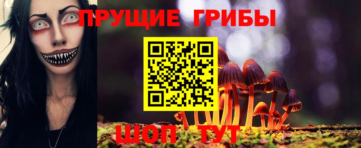 Галлюциногенные грибы ЛСД  Вход с VPN  Тверь  Псилоцибиновые грибы прущие грибы 
